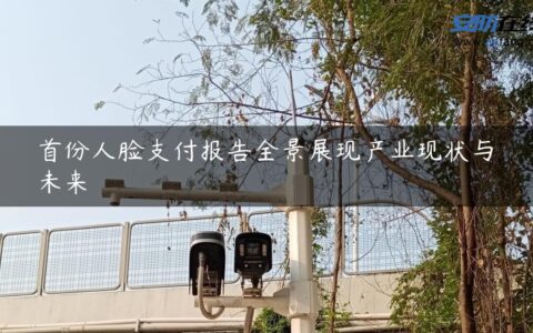 首份人脸支付报告全景展现产业现状与未来