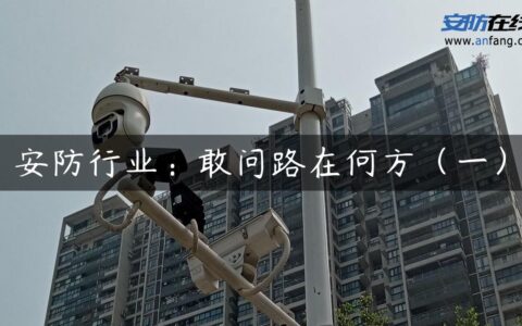 安防行业：敢问路在何方（一）