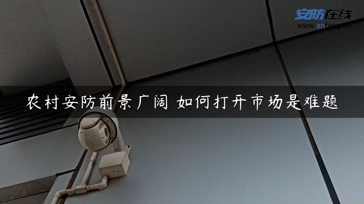 农村安防前景广阔 如何打开市场是难题