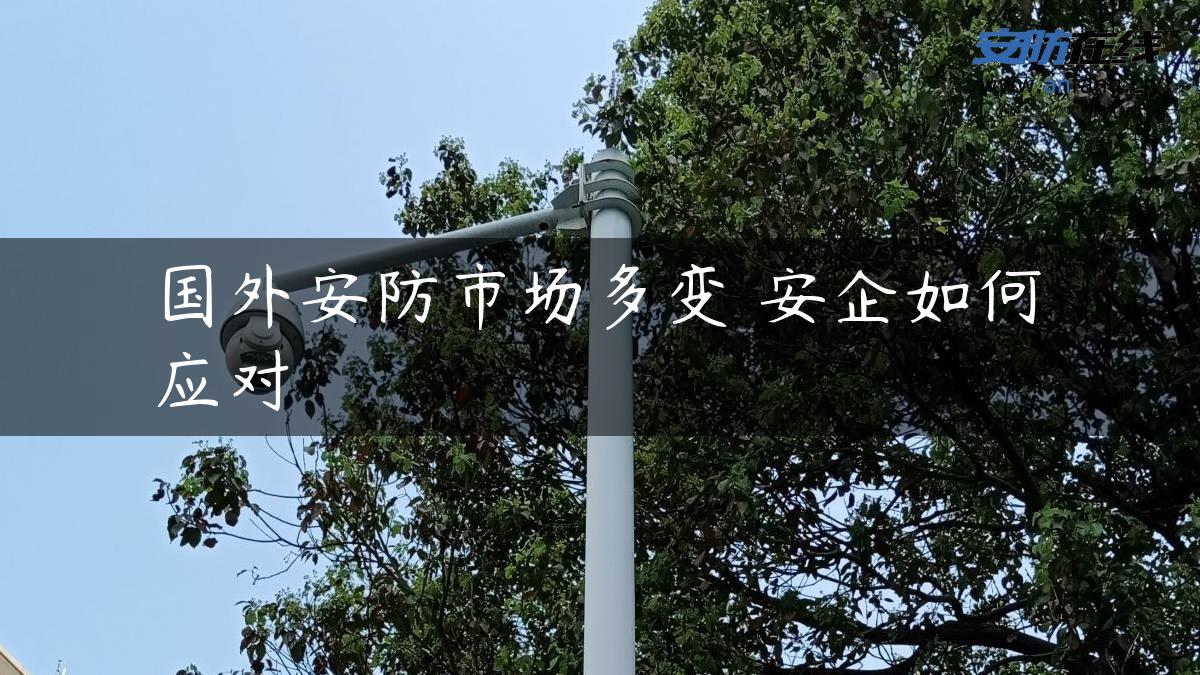 国外安防市场多变 安企如何应对