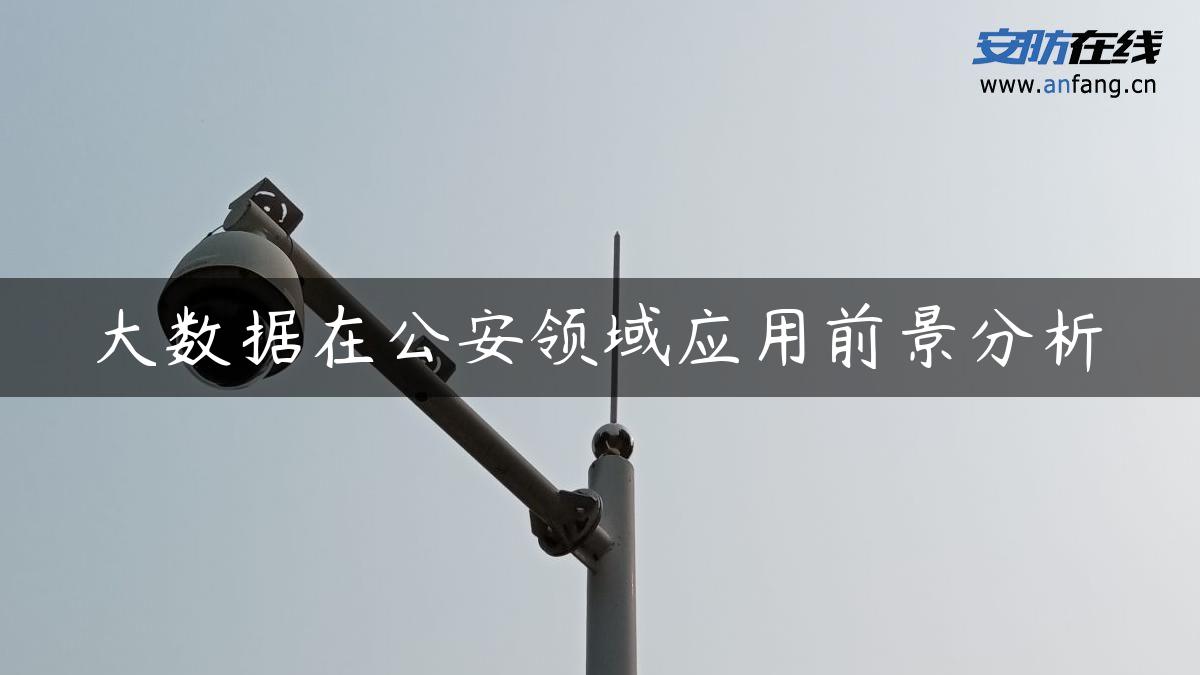 大数据在公安领域应用前景分析