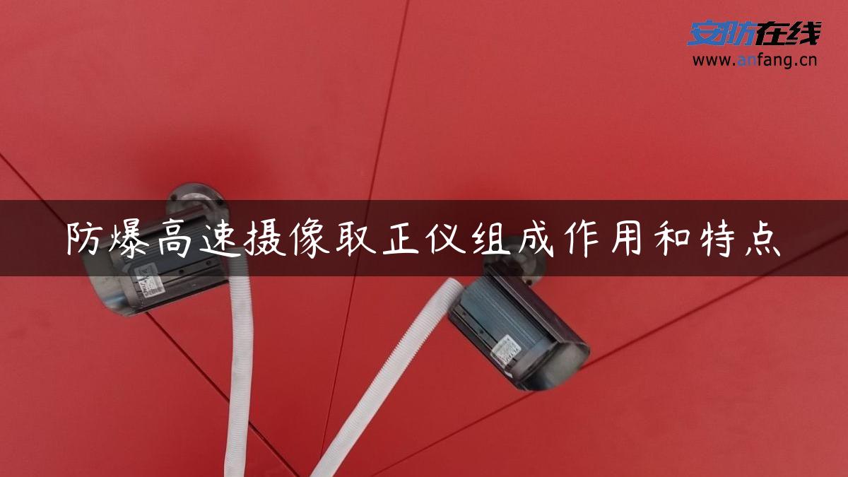 防爆高速摄像取正仪组成作用和特点