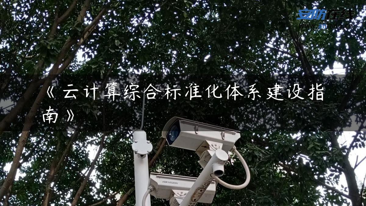 《云计算综合标准化体系建设指南》