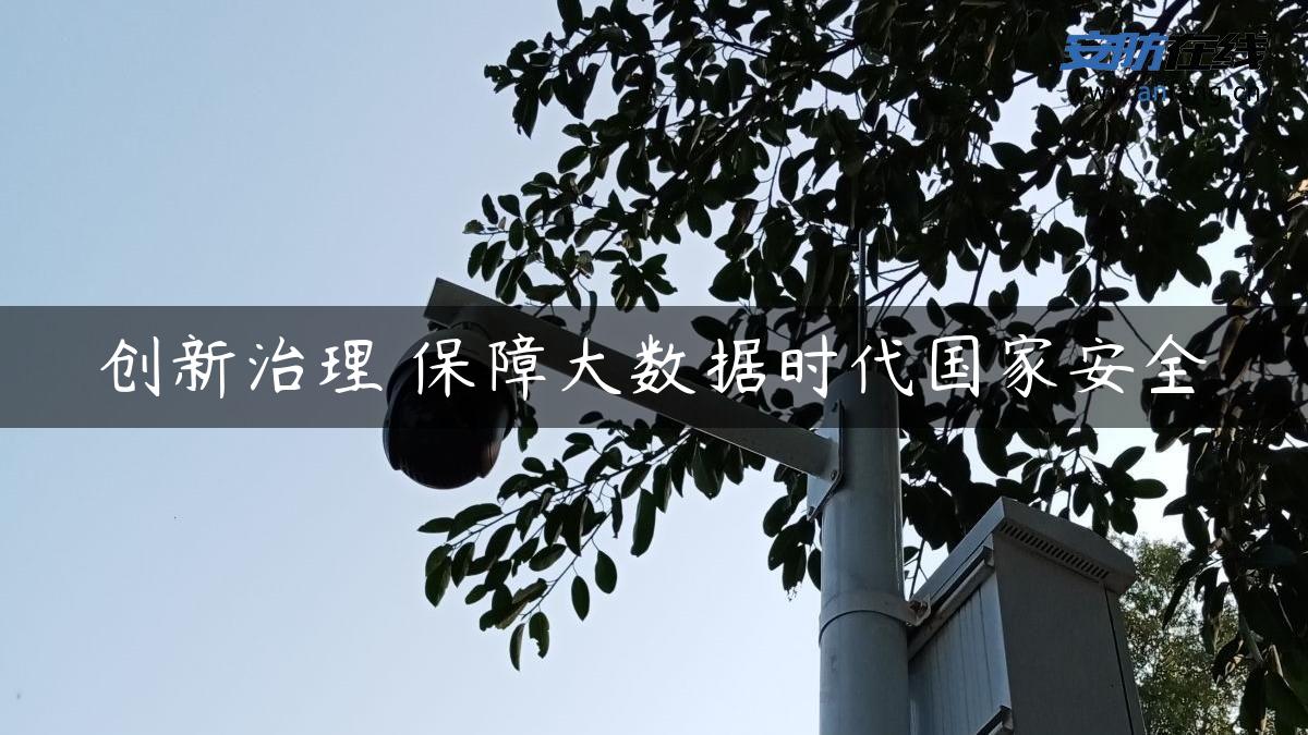 创新治理 保障大数据时代国家安全