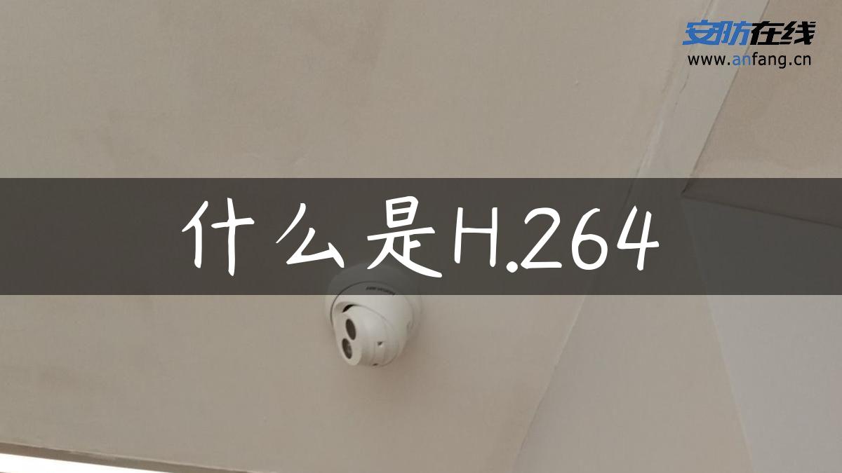 什么是H.264