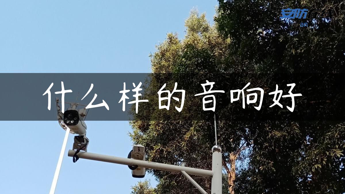 什么样的音响好