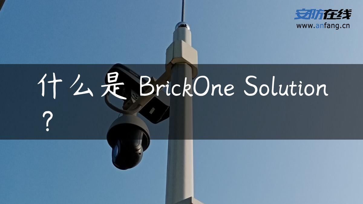 什么是 BrickOne Solution®?