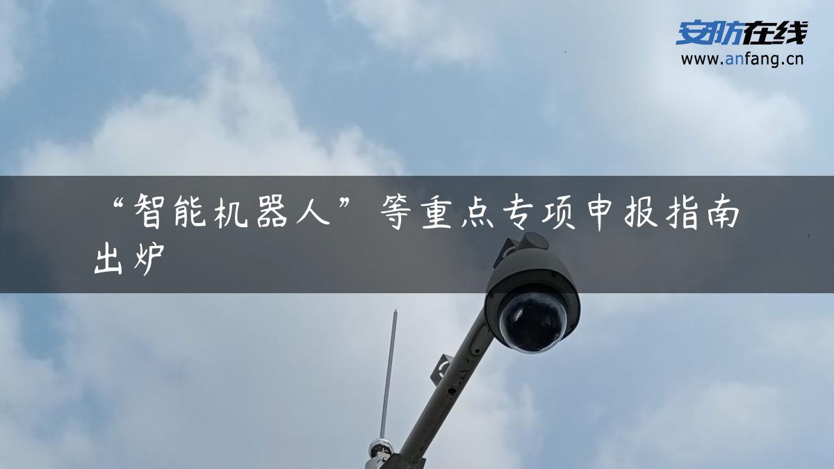 “智能机器人”等重点专项申报指南出炉