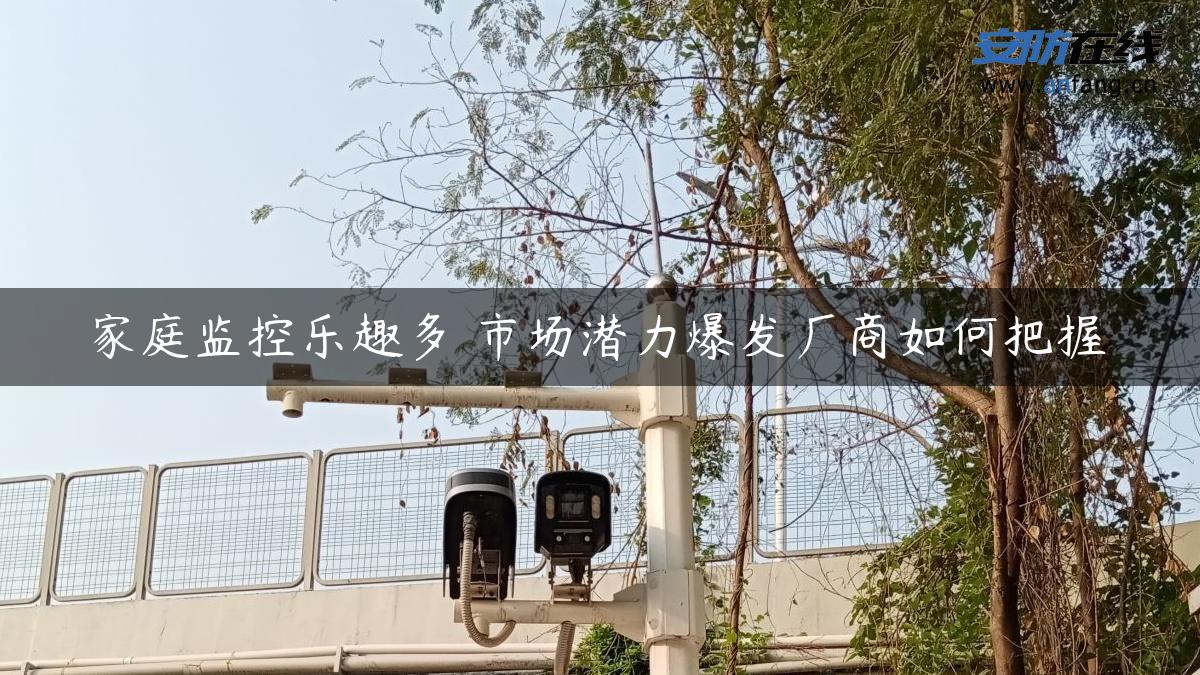 家庭监控乐趣多 市场潜力爆发厂商如何把握