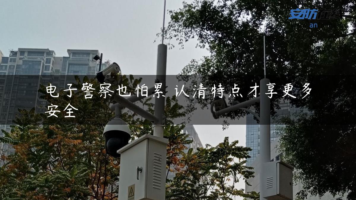 电子警察也怕累 认清特点才享更多安全