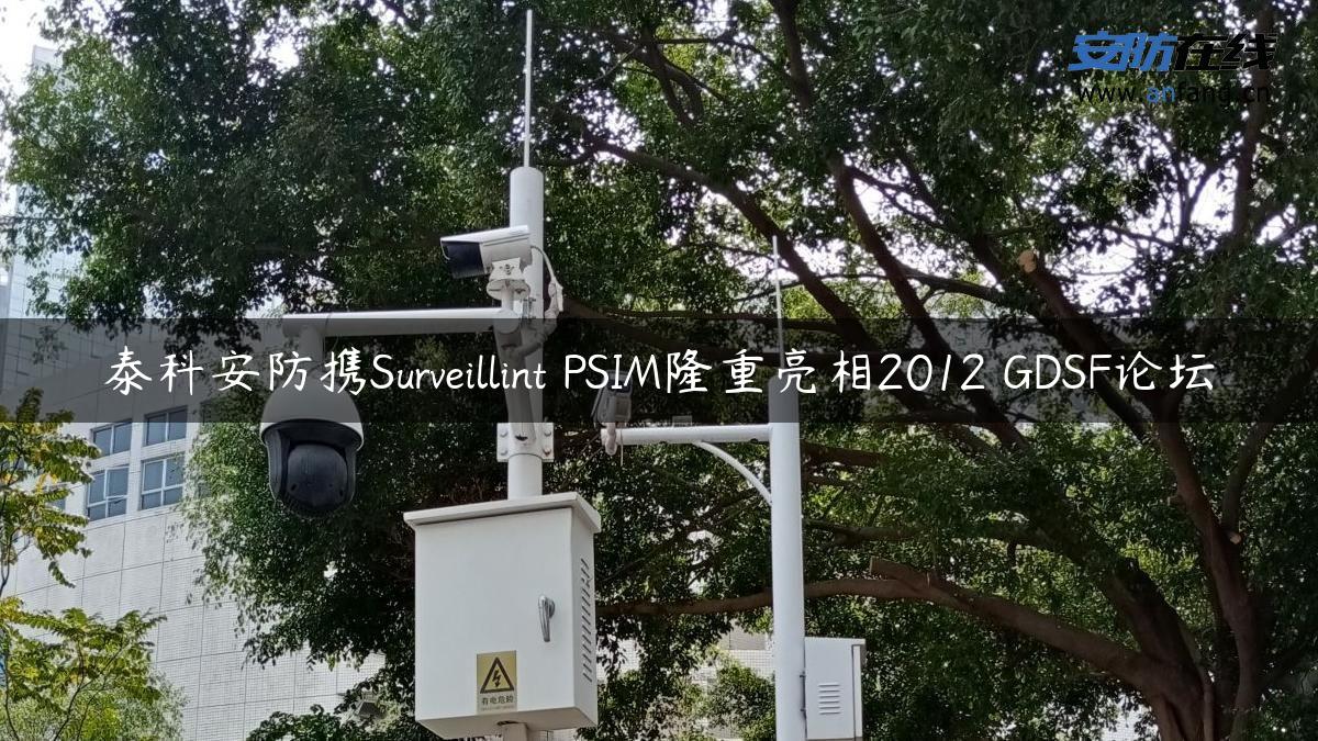 泰科安防携Surveillint PSIM隆重亮相2012 GDSF论坛