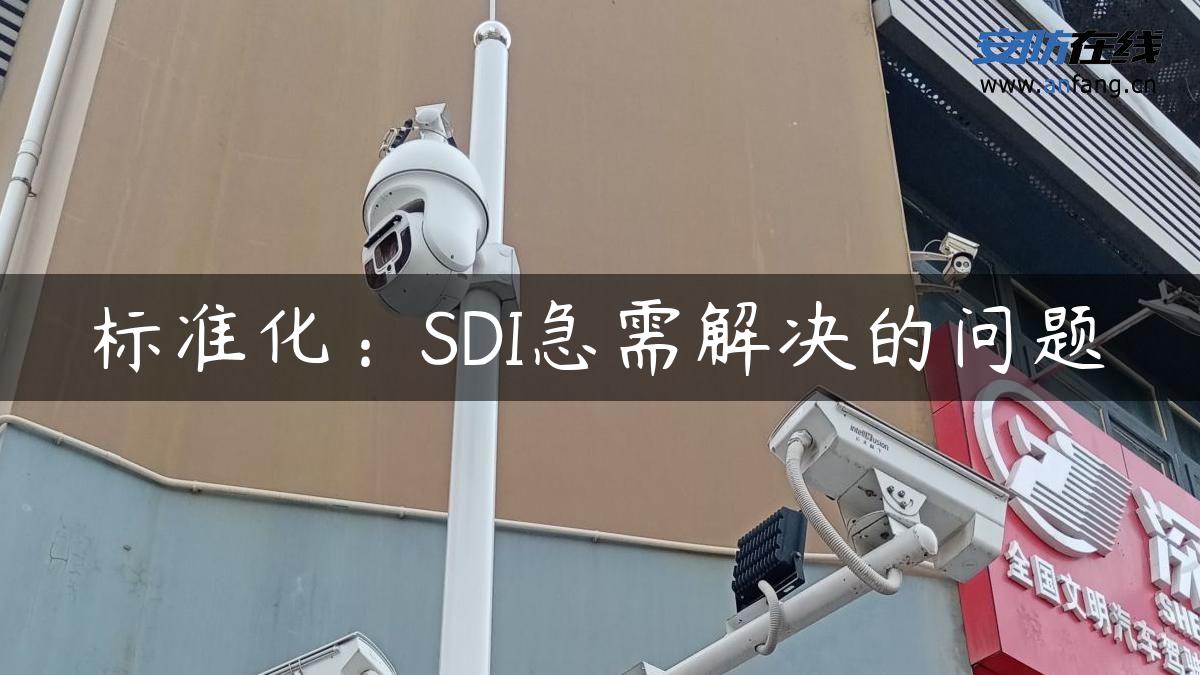 标准化：SDI急需解决的问题