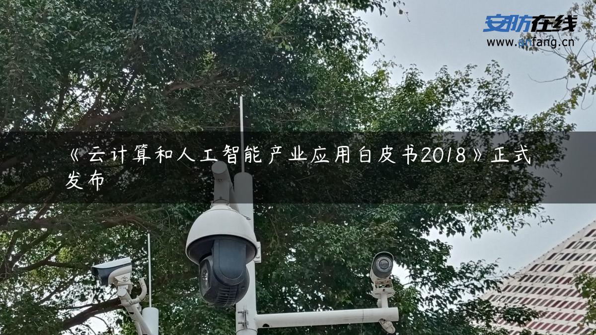 《云计算和人工智能产业应用白皮书2018》正式发布