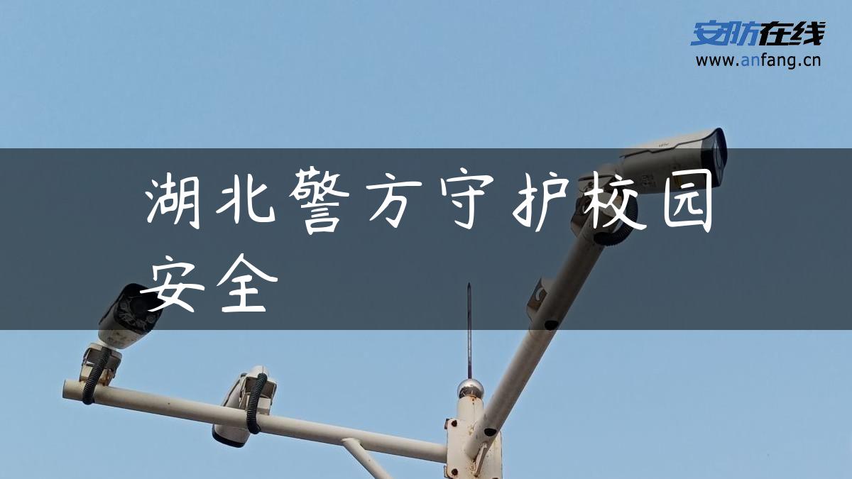 湖北警方守护校园安全