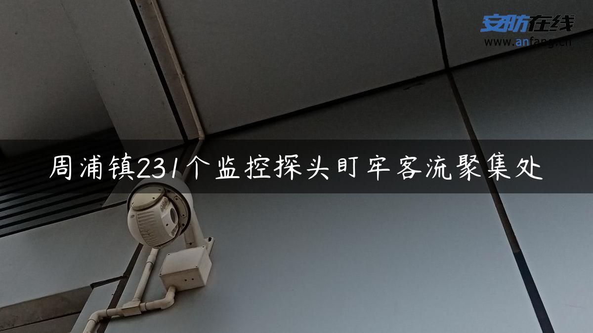 周浦镇231个监控探头盯牢客流聚集处