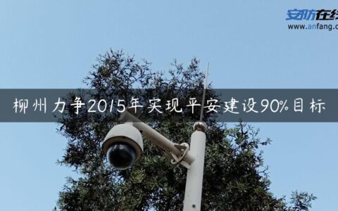 柳州力争2015年实现平安建设90%目标