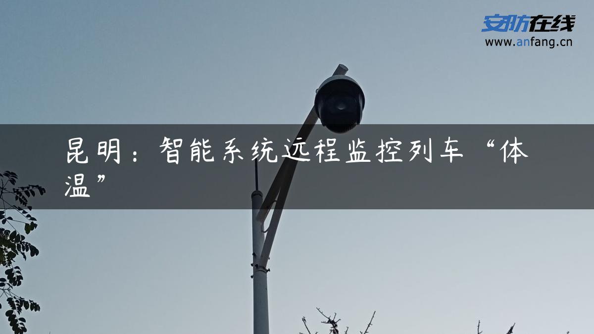 昆明：智能系统远程监控列车“体温”