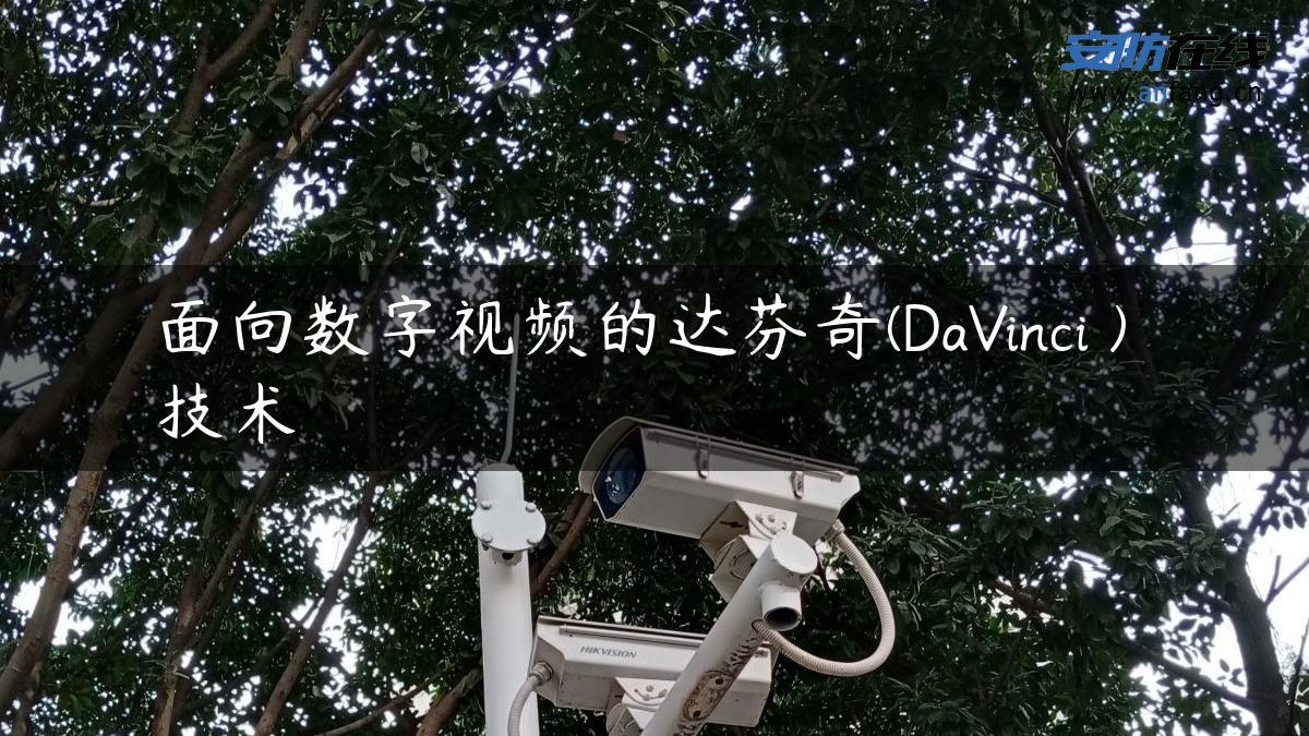 面向数字视频的达芬奇(DaVinci™) 技术