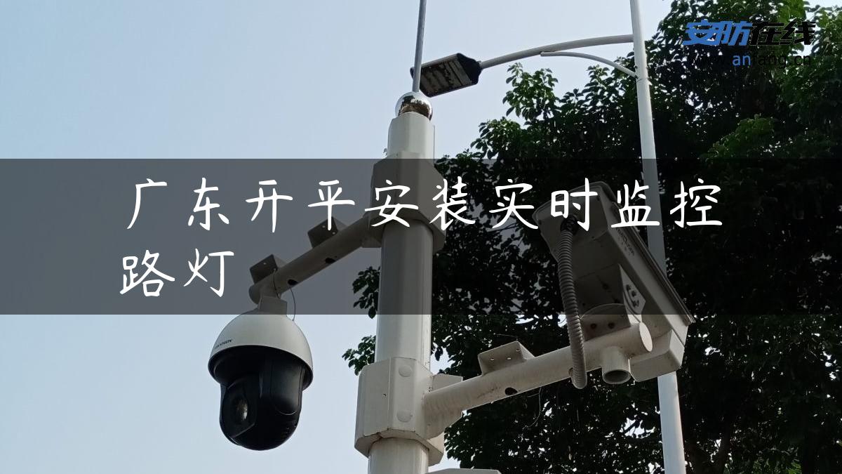 广东开平安装实时监控路灯