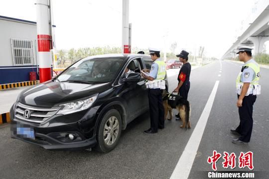 金牛湖赛场体验：江苏警方水陆空全覆盖安保青奥