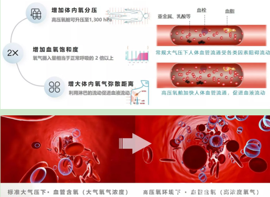 氧化锆氧气传感器系统在高压氧舱氧含量监控中的方案