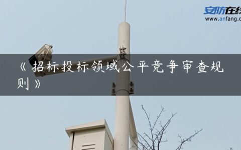 《招标投标领域公平竞争审查规则》