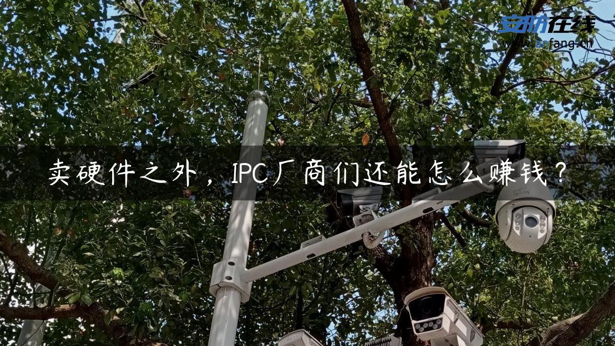 卖硬件之外，IPC厂商们还能怎么赚钱？