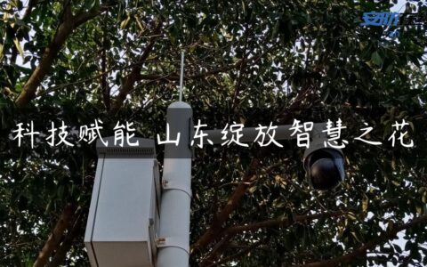 科技赋能 山东绽放智慧之花