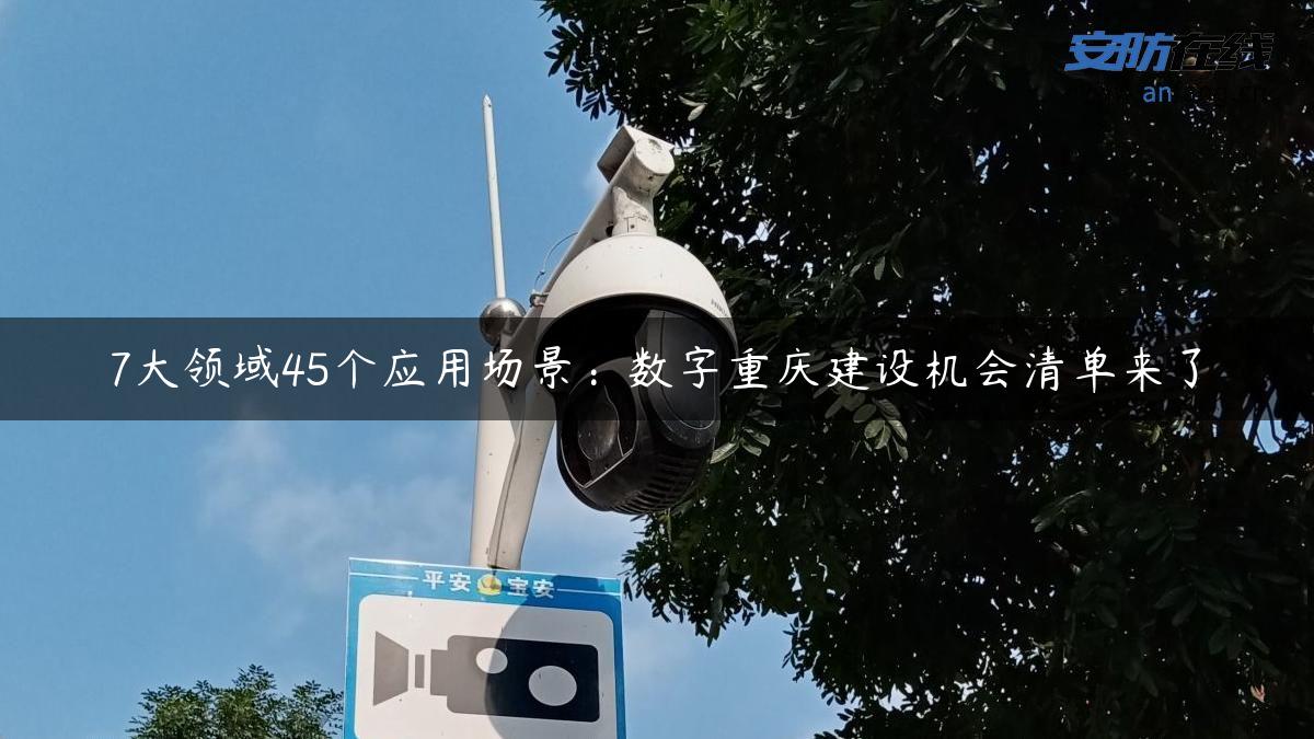 7大领域45个应用场景：数字重庆建设机会清单来了