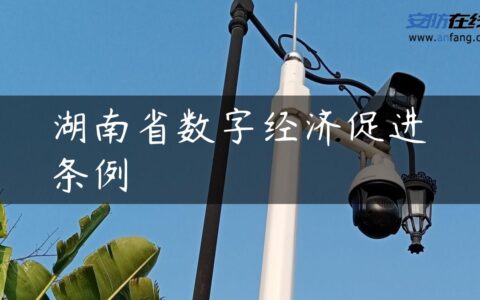 湖南省数字经济促进条例