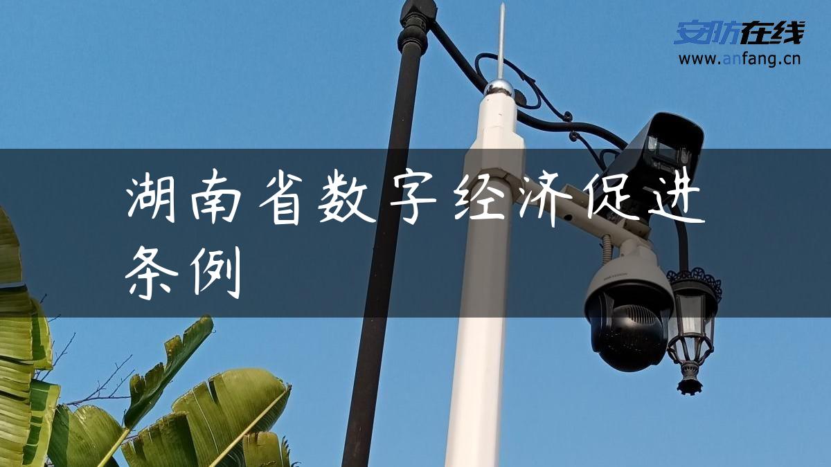 湖南省数字经济促进条例