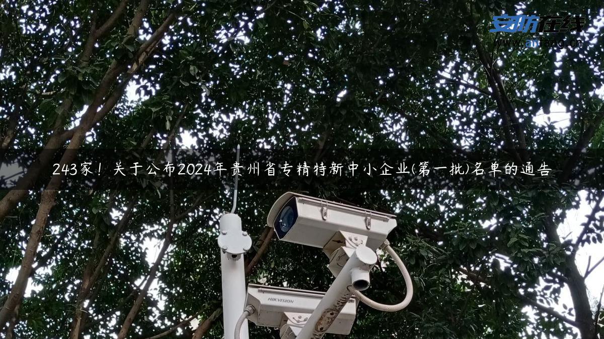 243家！关于公布2024年贵州省专精特新中小企业(第一批)名单的通告