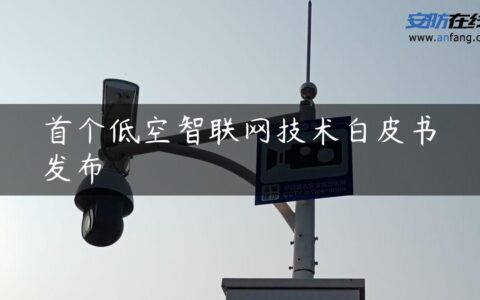 首个低空智联网技术白皮书发布