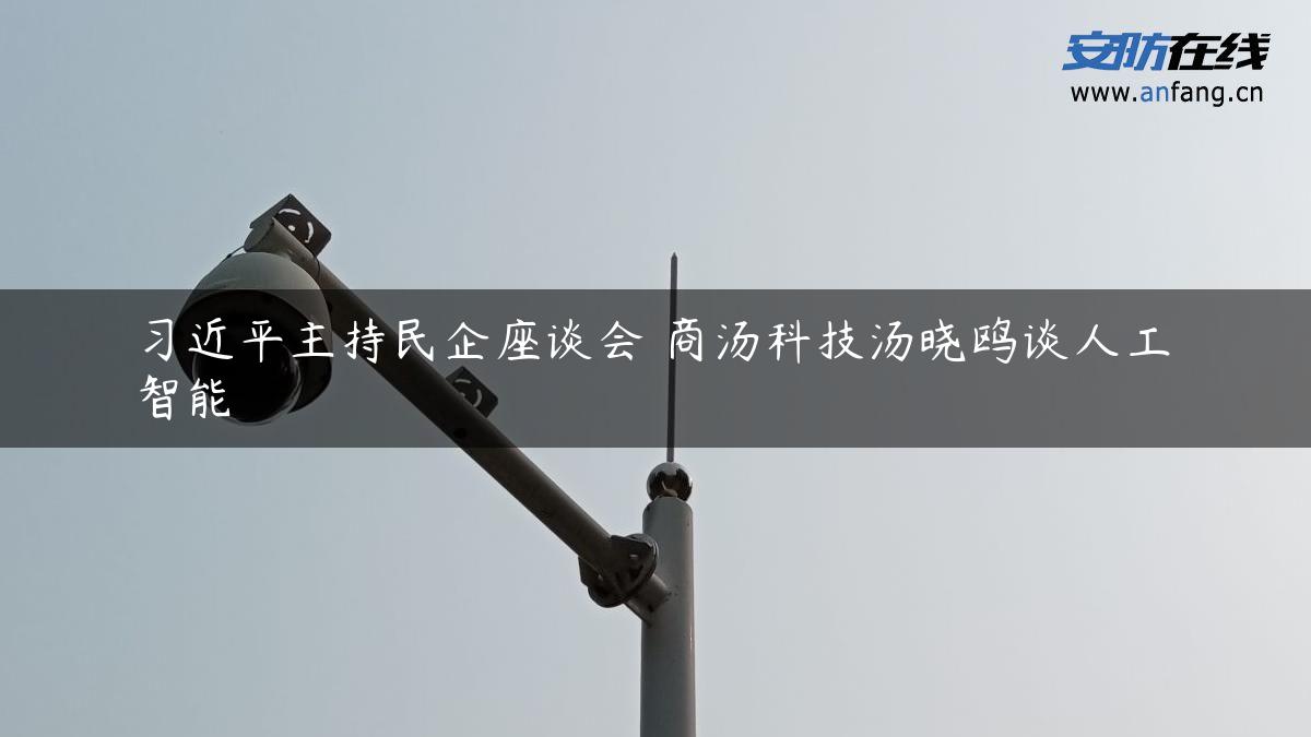 ***主持民企座谈会 商汤科技汤晓鸥谈人工智能