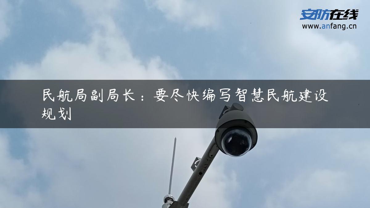 民航局副局长：要尽快编写智慧民航建设规划