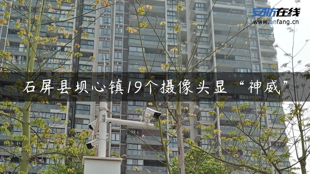 石屏县坝心镇19个摄像头显“神威”