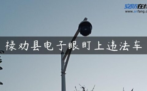 禄劝县电子眼盯上违法车