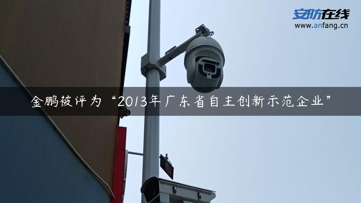 金鹏被评为“2013年广东省自主创新示范企业”