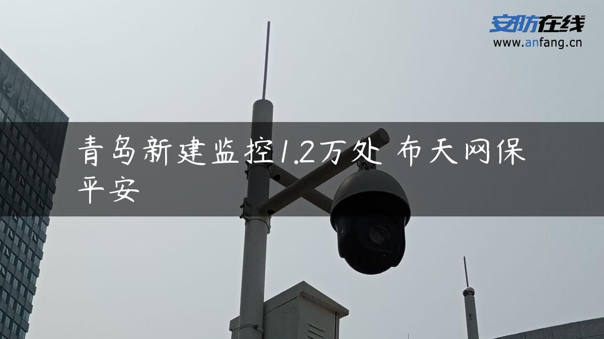 青岛新建监控1.2万处 布天网保平安