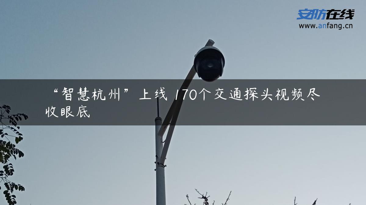 “智慧杭州”上线 170个交通探头视频尽收眼底