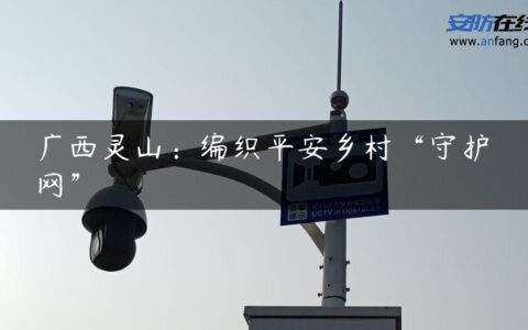 广西灵山：编织平安乡村“守护网”