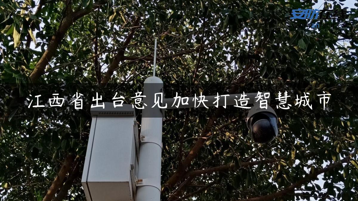 江西省出台意见加快打造智慧城市