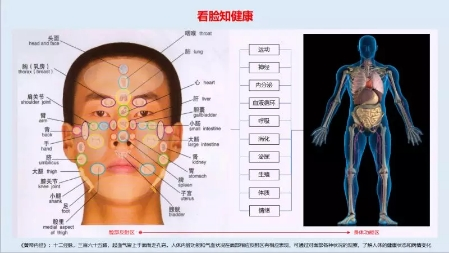 中科院AI：中科高研新中医机器人将新中医与人工智能相结合突破技术创新