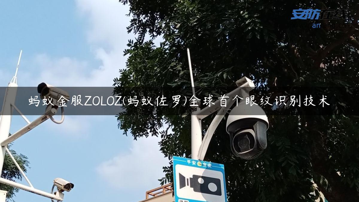 蚂蚁金服ZOLOZ(蚂蚁佐罗)全球首个眼纹识别技术