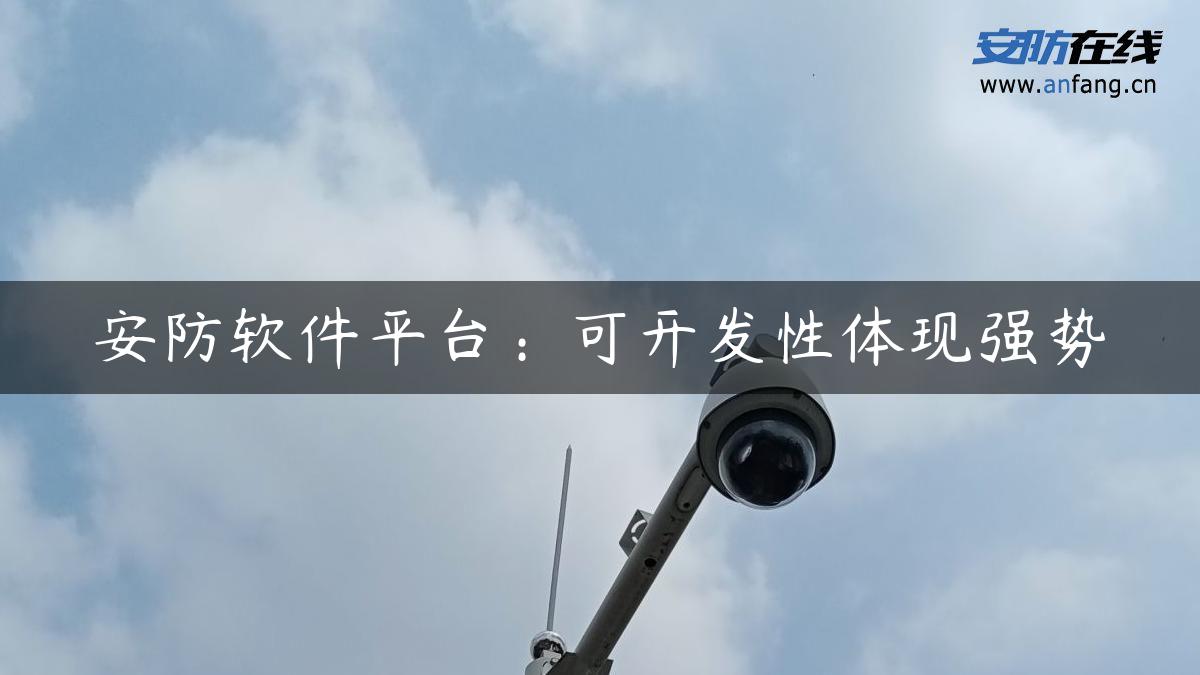 安防软件平台：可开发性体现强势