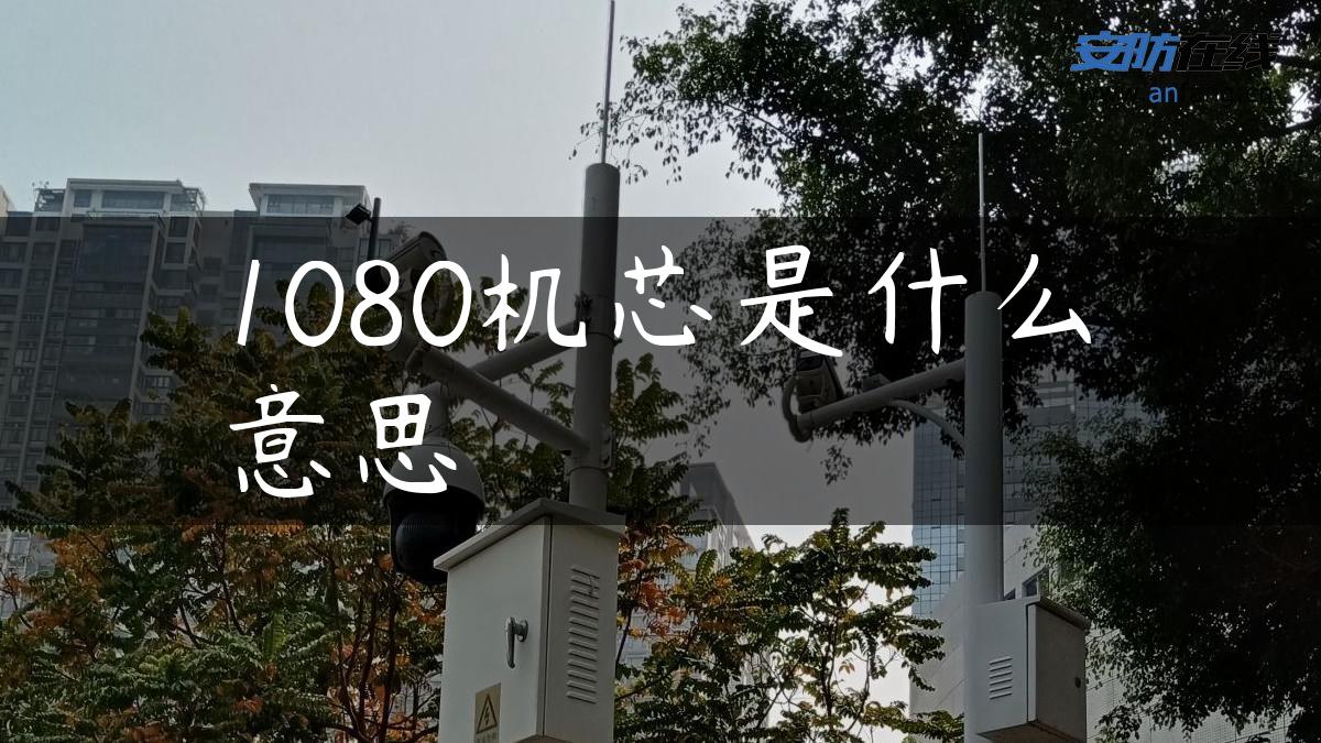 1080机芯是什么意思