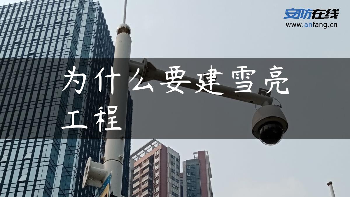 为什么要建雪亮工程