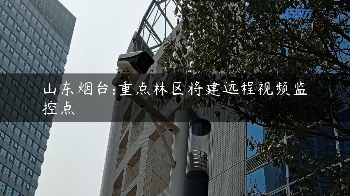 山东烟台:重点林区将建远程视频监控点