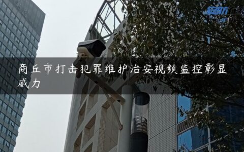 商丘市打击犯罪维护治安视频监控彰显威力