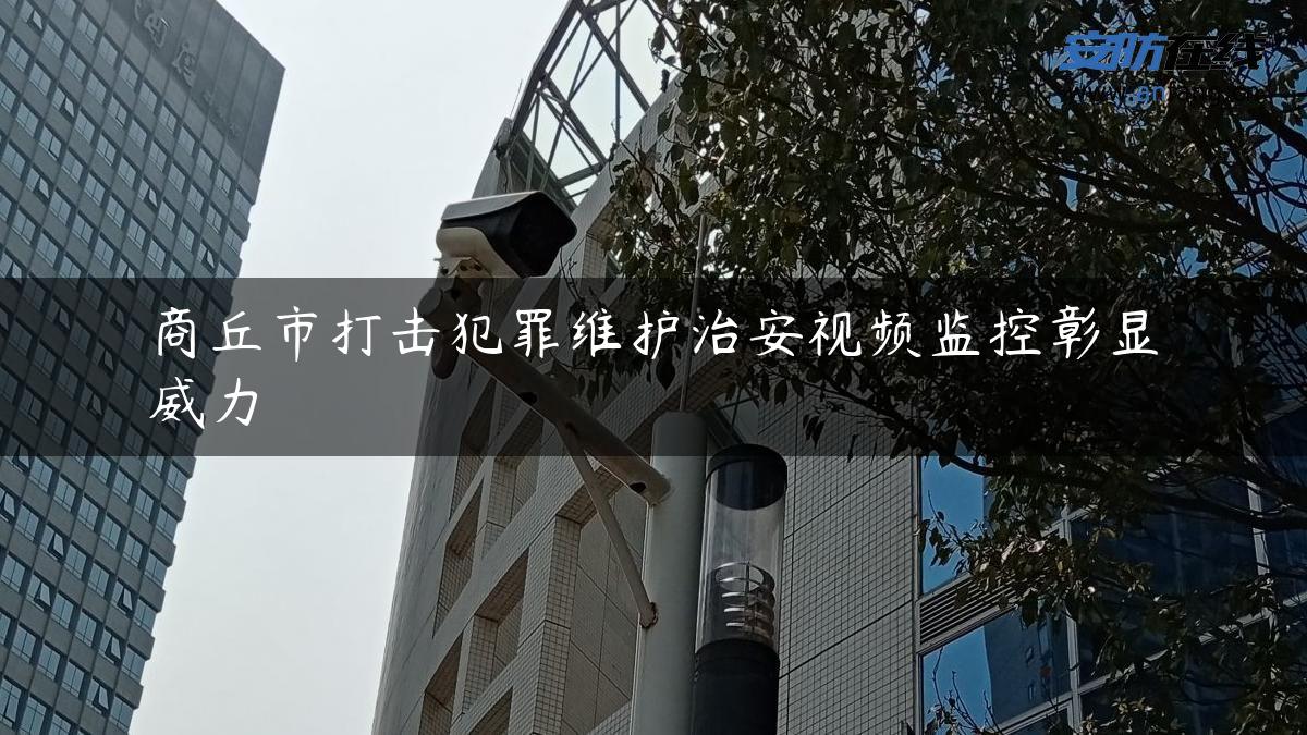 商丘市打击犯罪维护治安视频监控彰显威力